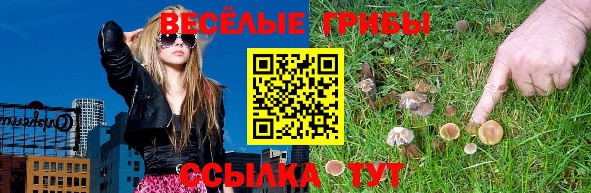 магазин    Вход с VPN  Псилоцибиновые грибы Magic Shrooms  Южноуральск  Галлюциногенные грибы Magic Shrooms 